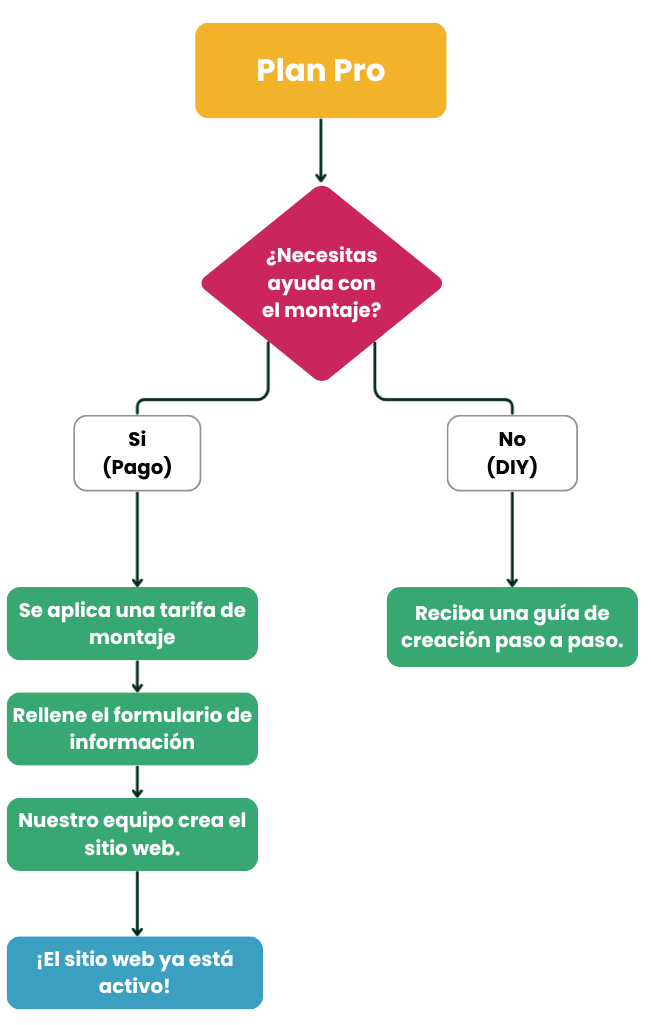 Diagrama de flujo del recorrido - Plan Pro